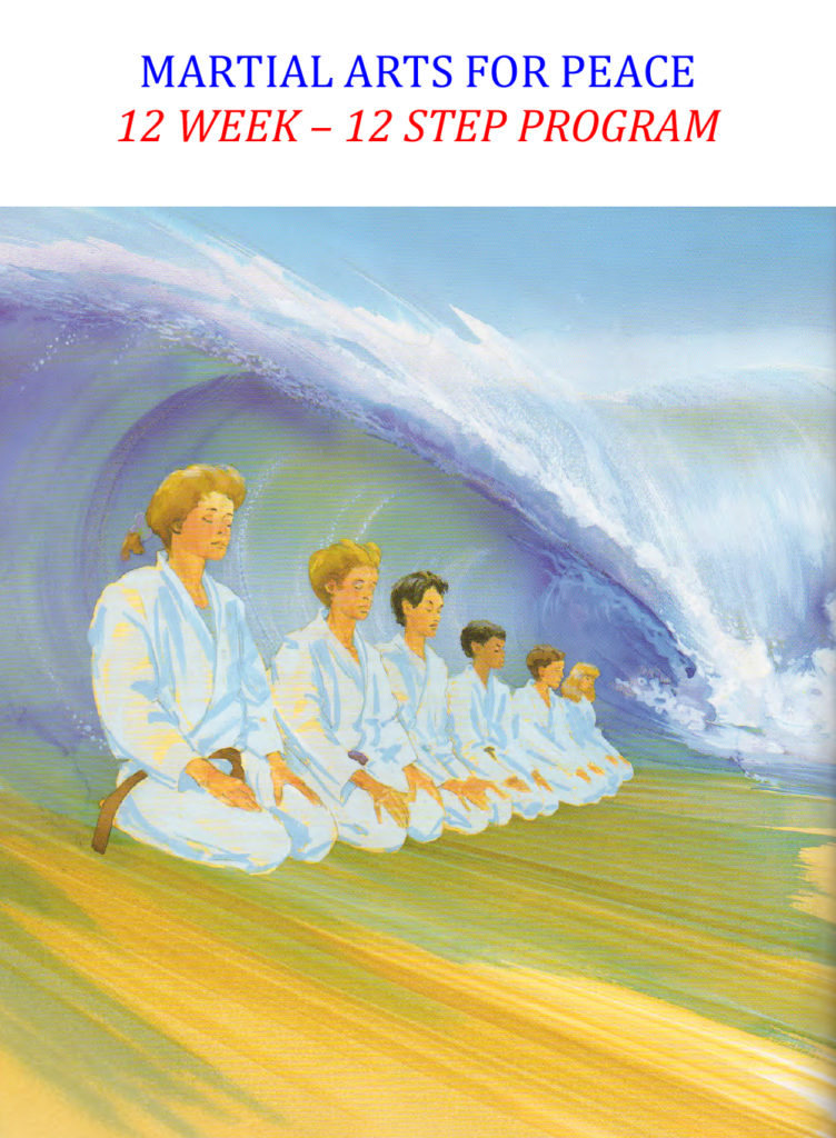 Martial arts practitioners in white uniforms meditating on a beach with a large ocean wave behind, titled "Martial Arts for Peace 12 Week - 12 Step Program."