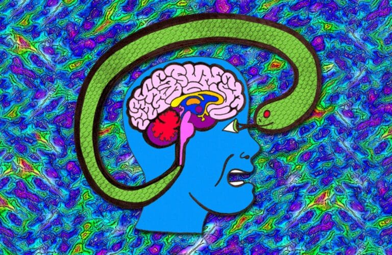 Getting to the Root of Our Fear