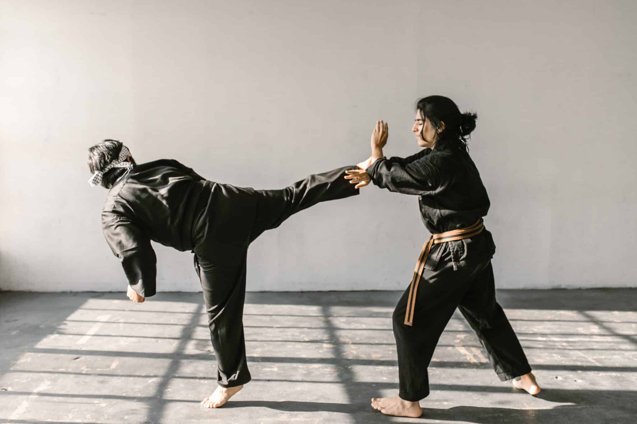 Two martial artists practicing a kick and a block technique in a spacious training studio, with natural light casting shadows on the floor. One practitioner is executing a high kick while the other defends with an open hand, both wearing traditional black uniforms.