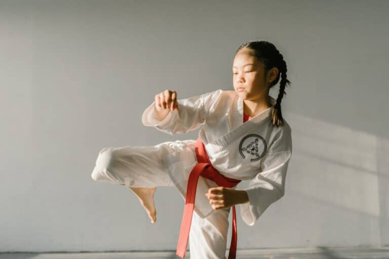 The Business of the Martial Arts