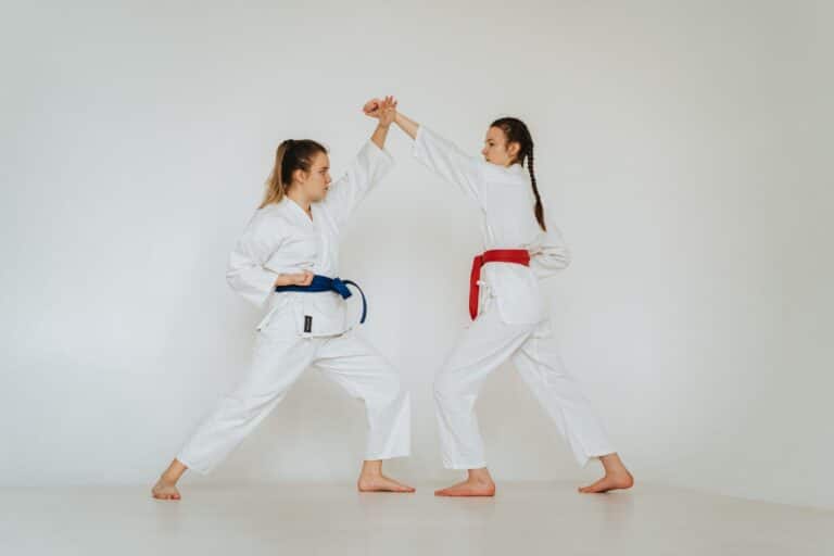 Martial Arts Success Interview