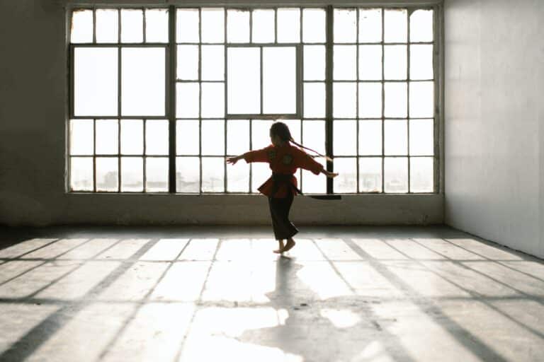The Spiritual Life of the Martial Arts